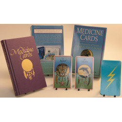 Medicine Cards by Jamie Sams and David Carson illustrated by Angela Werneke